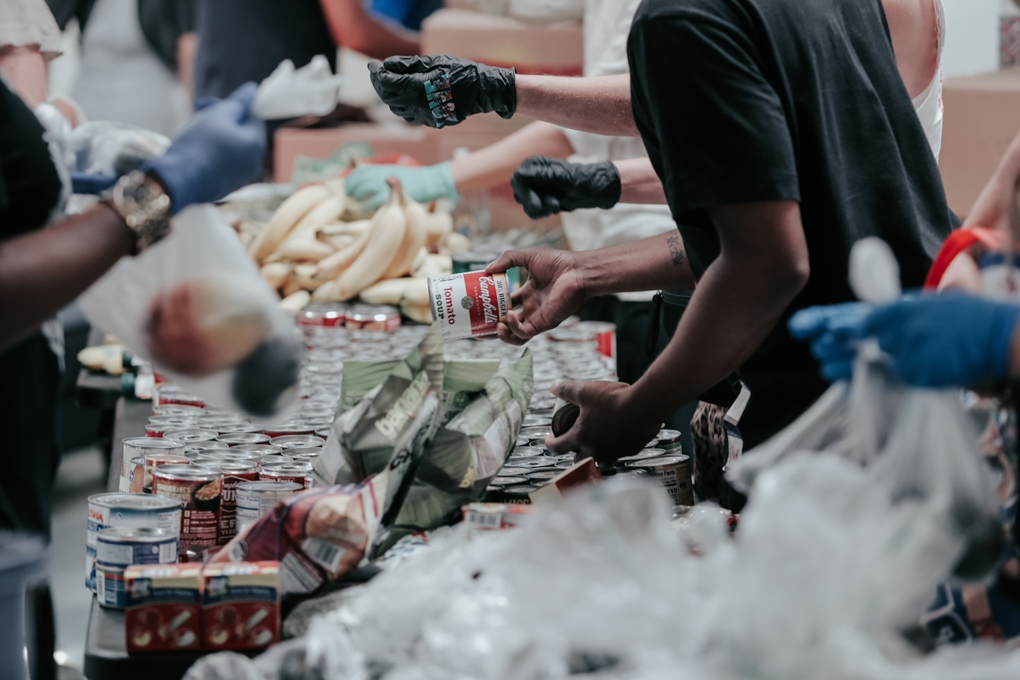 The Impact of Donations: Where Your Money Goes
